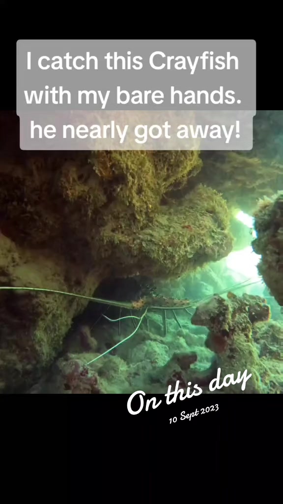 @Whitsunday_Wet_Stuff