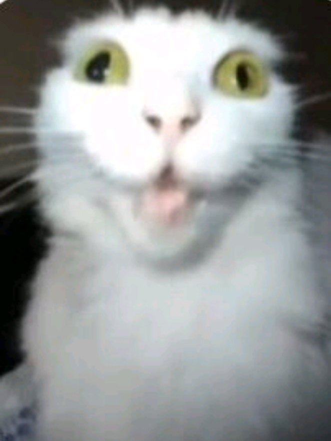 @Pato3xdEmmy_ofishial