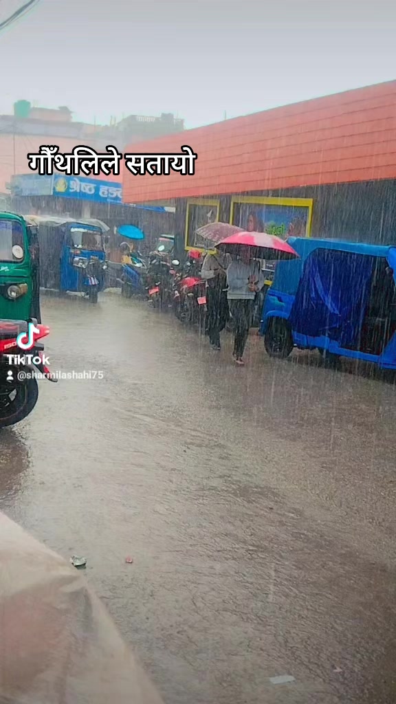 @sarmila shahi