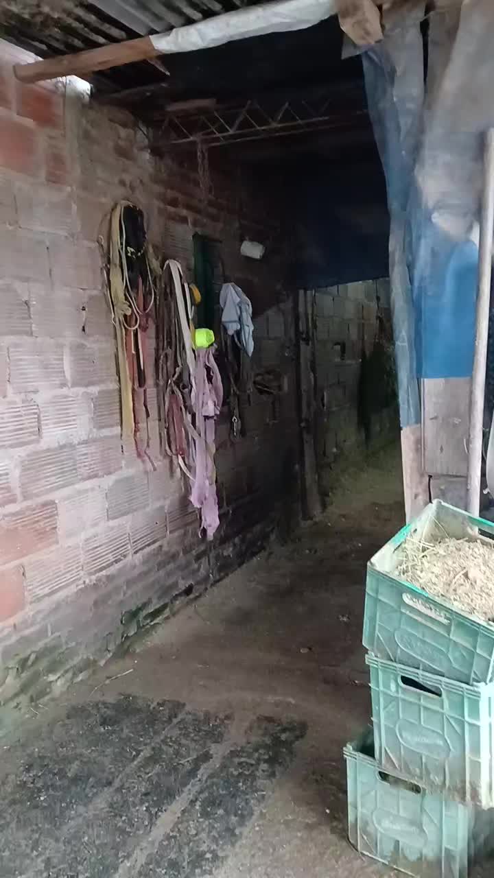 @Soledad Gigena 🏇♥️