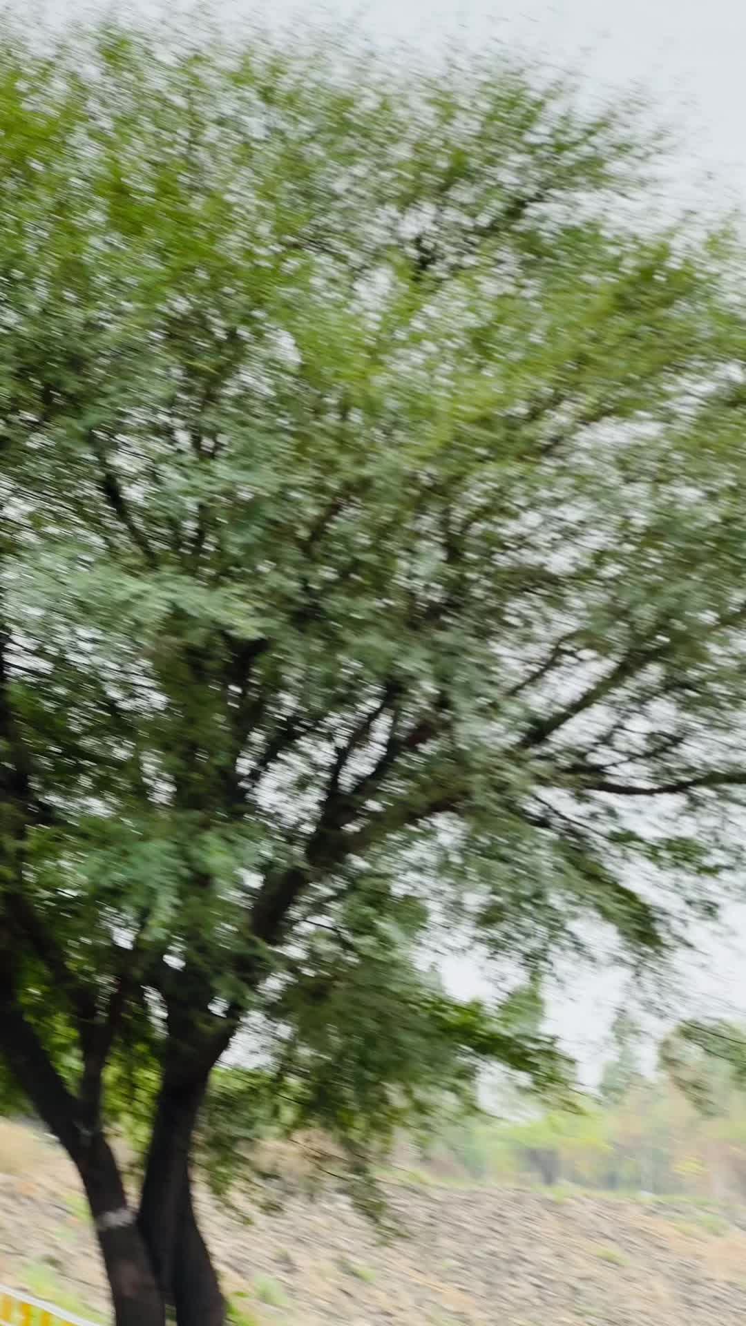 @ᗩᗷᗪᑌᒪᒪᗩᕼ