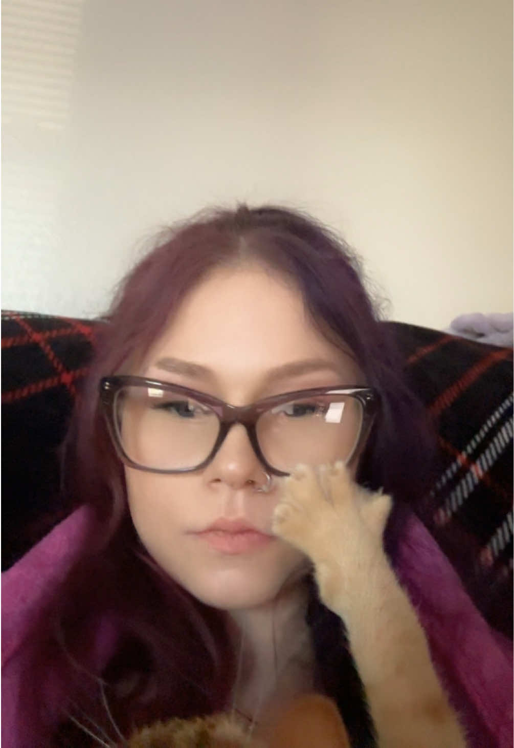 @organic kitty
