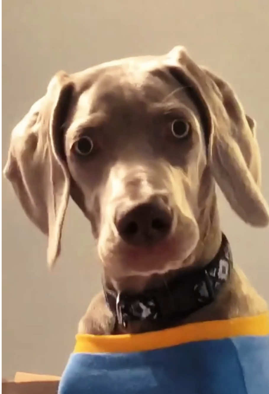 @cute.funny222