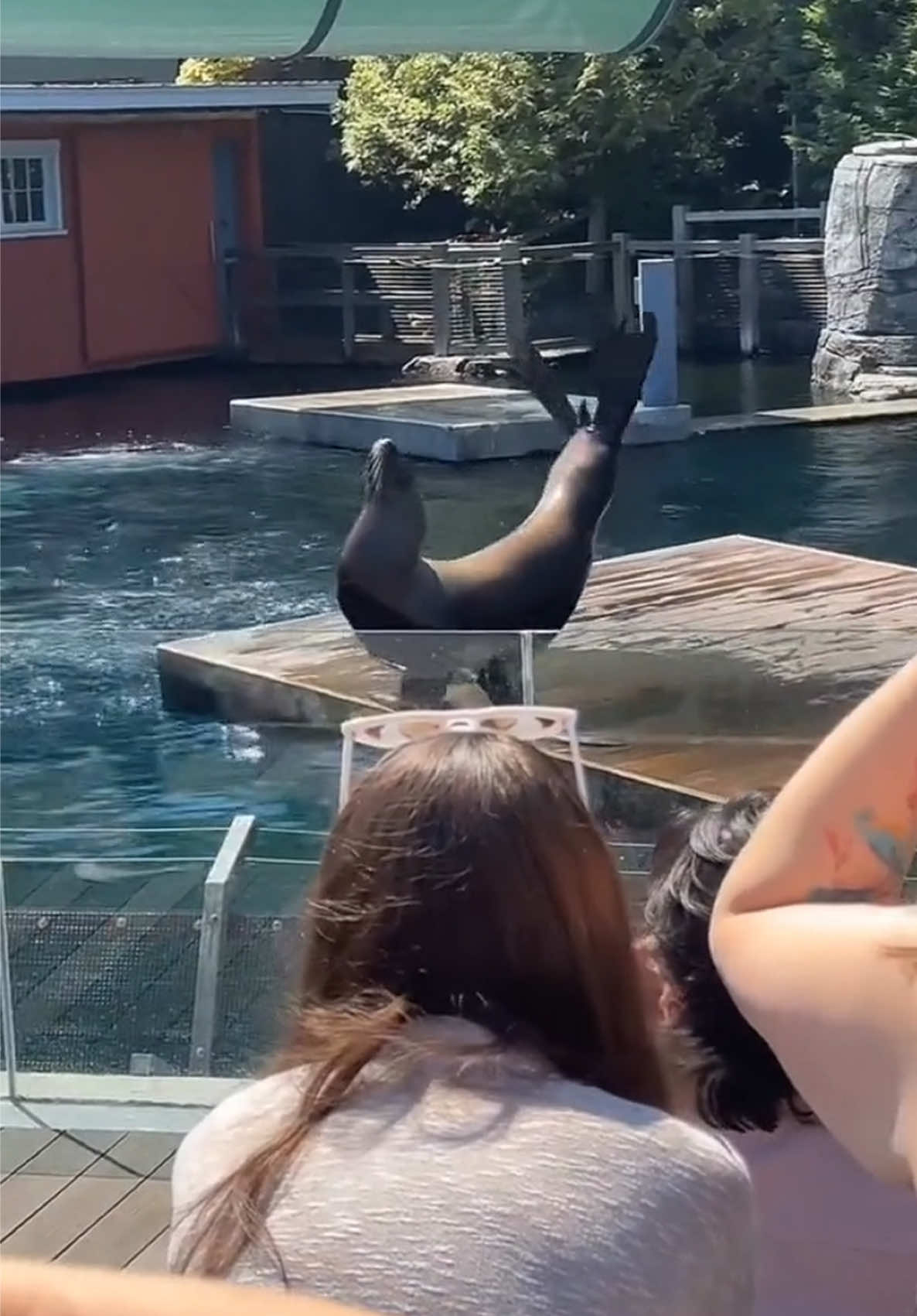 @Leo wale ♌️ Vlog