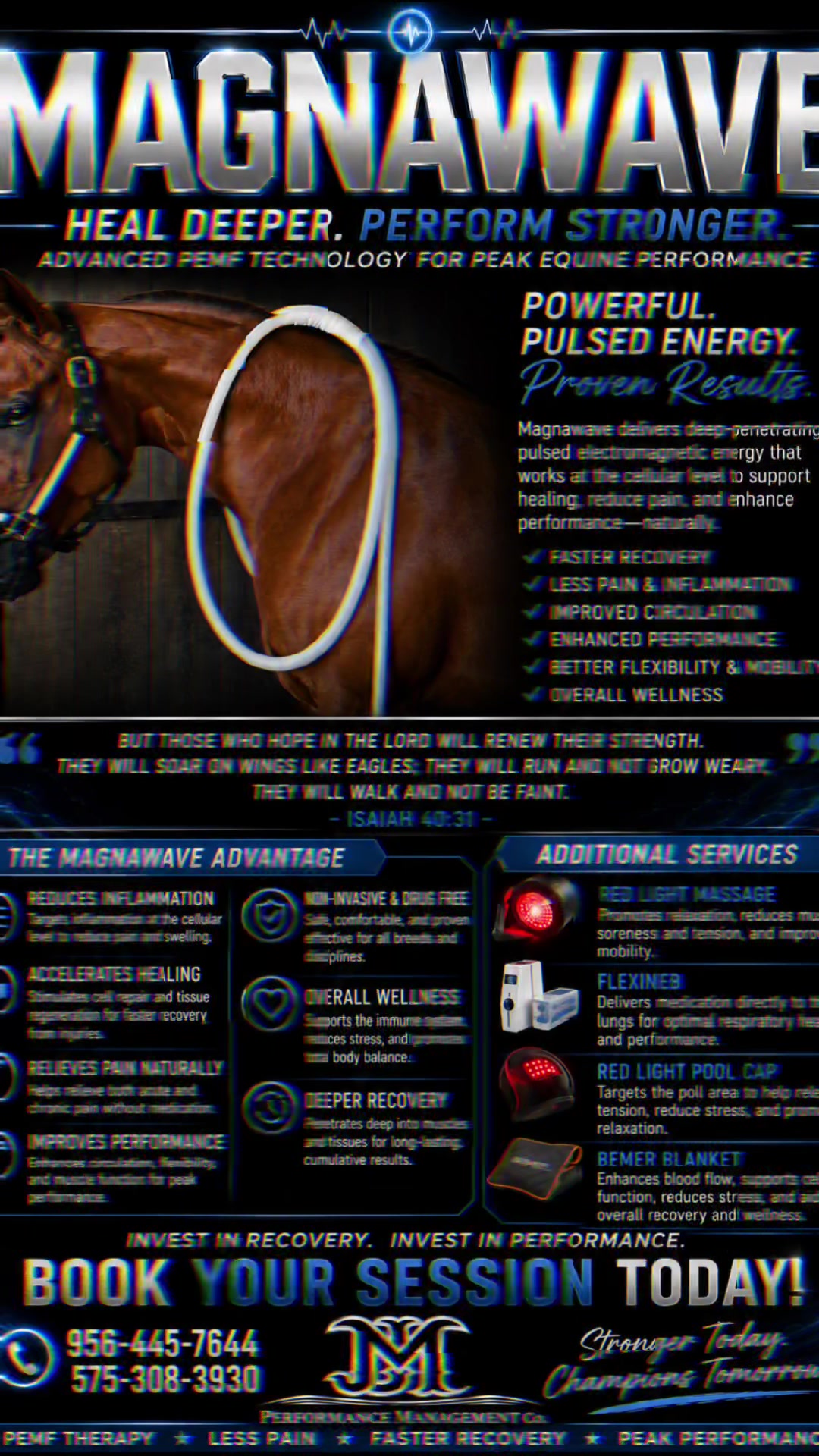 @JM Performance Horses