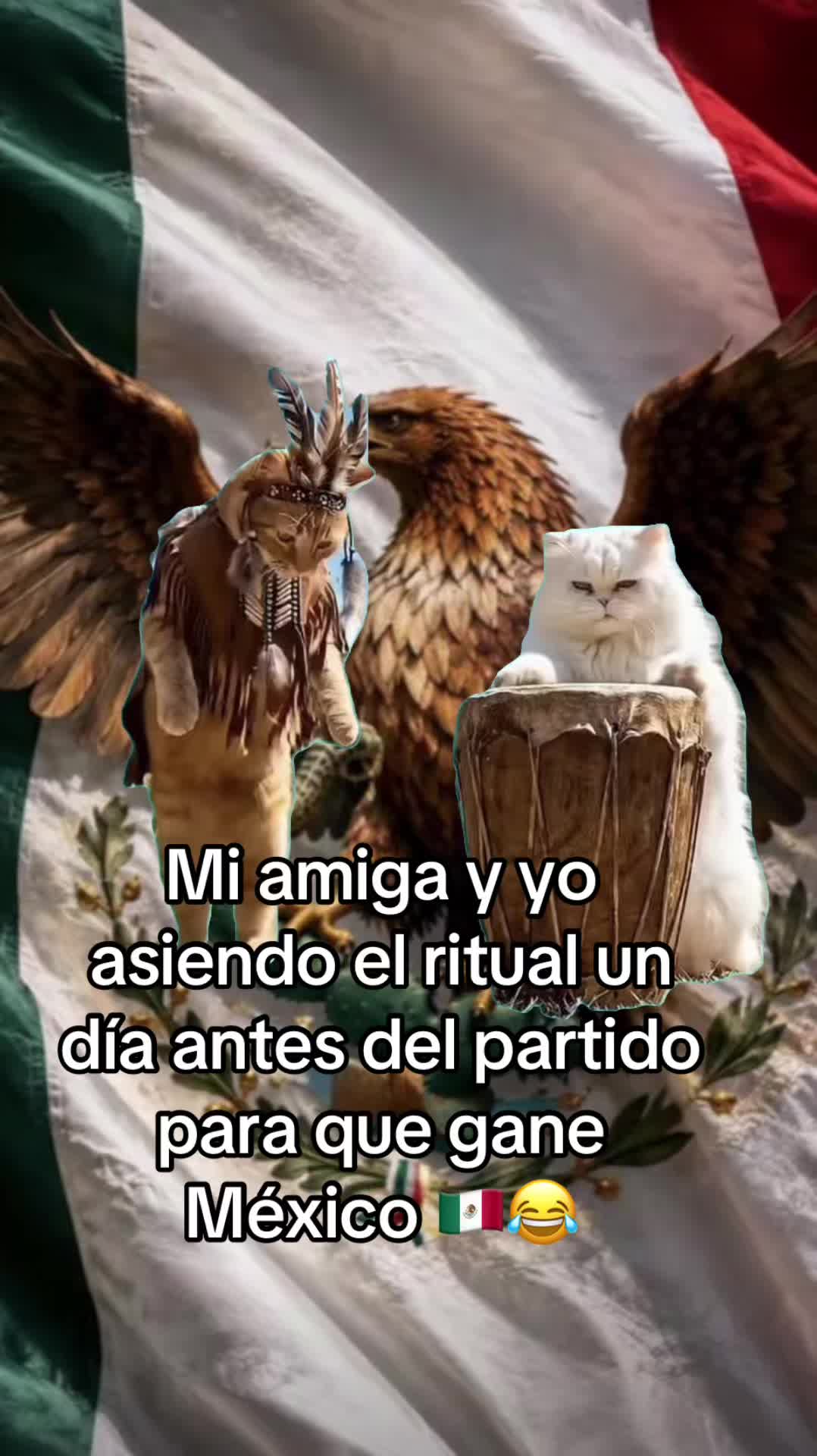 @luzmedina