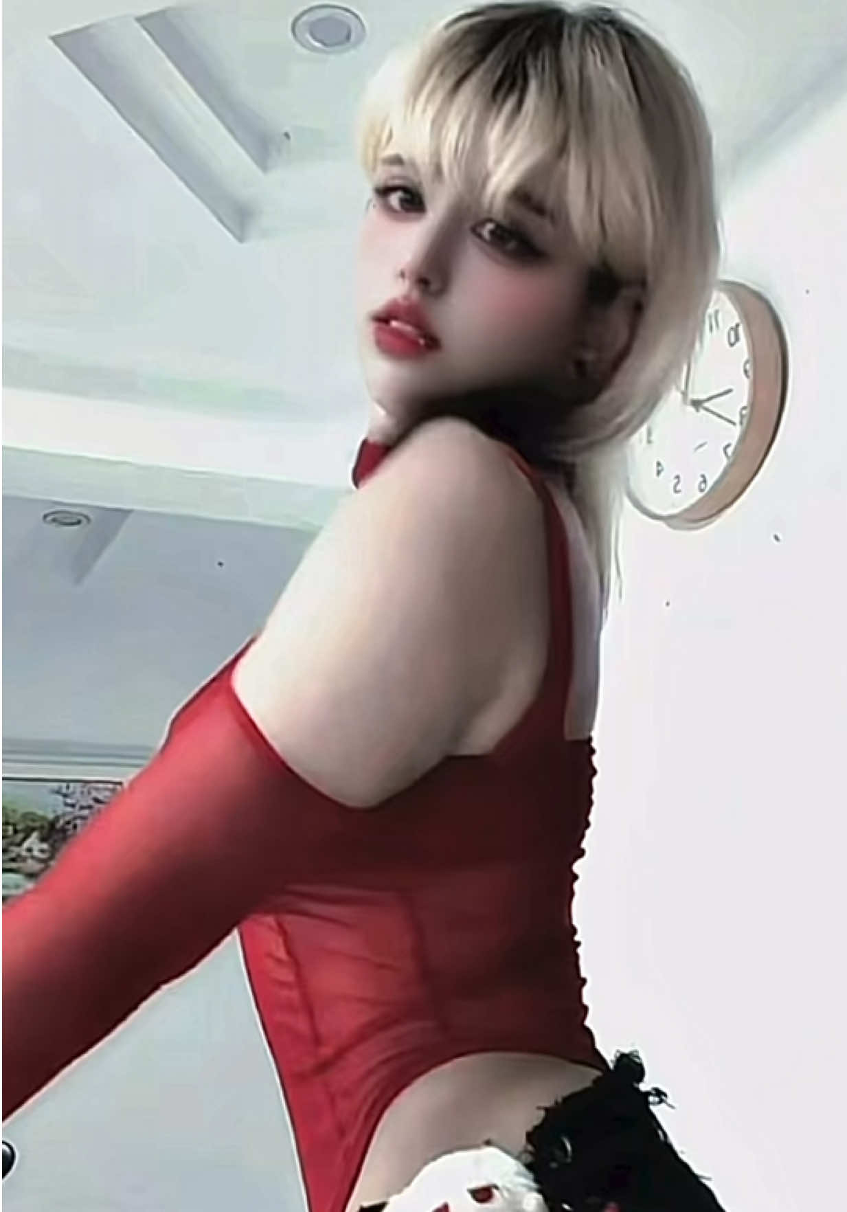 @Calico 카리코 🐈&zwj;⬛
