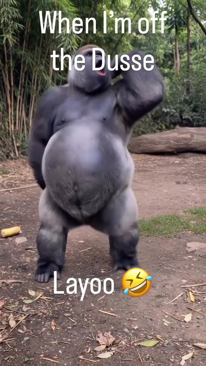 @KillaMoe