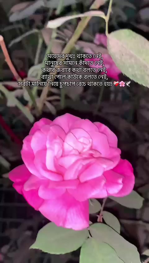 @🕊️Suborna🕊️