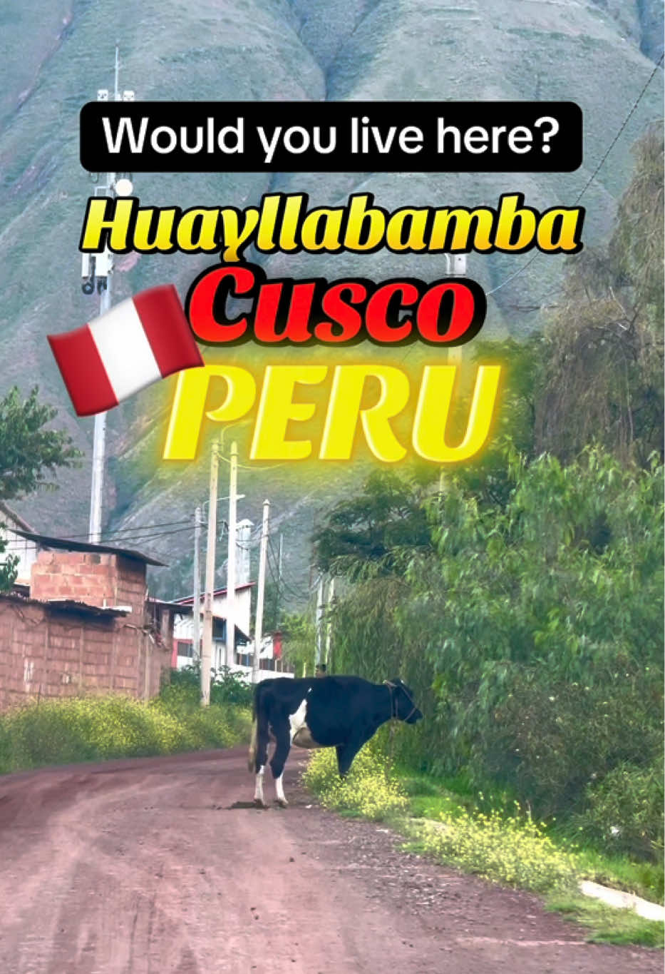 @Bluenomador