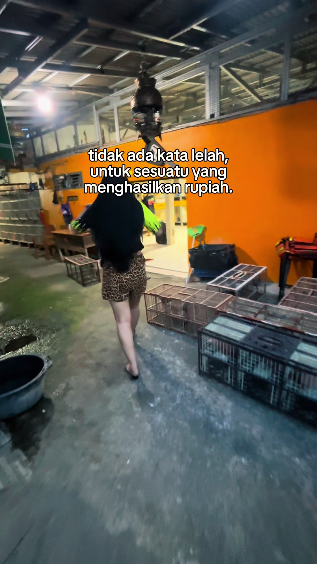 @Shindy jokigirlss ๐๏ธ