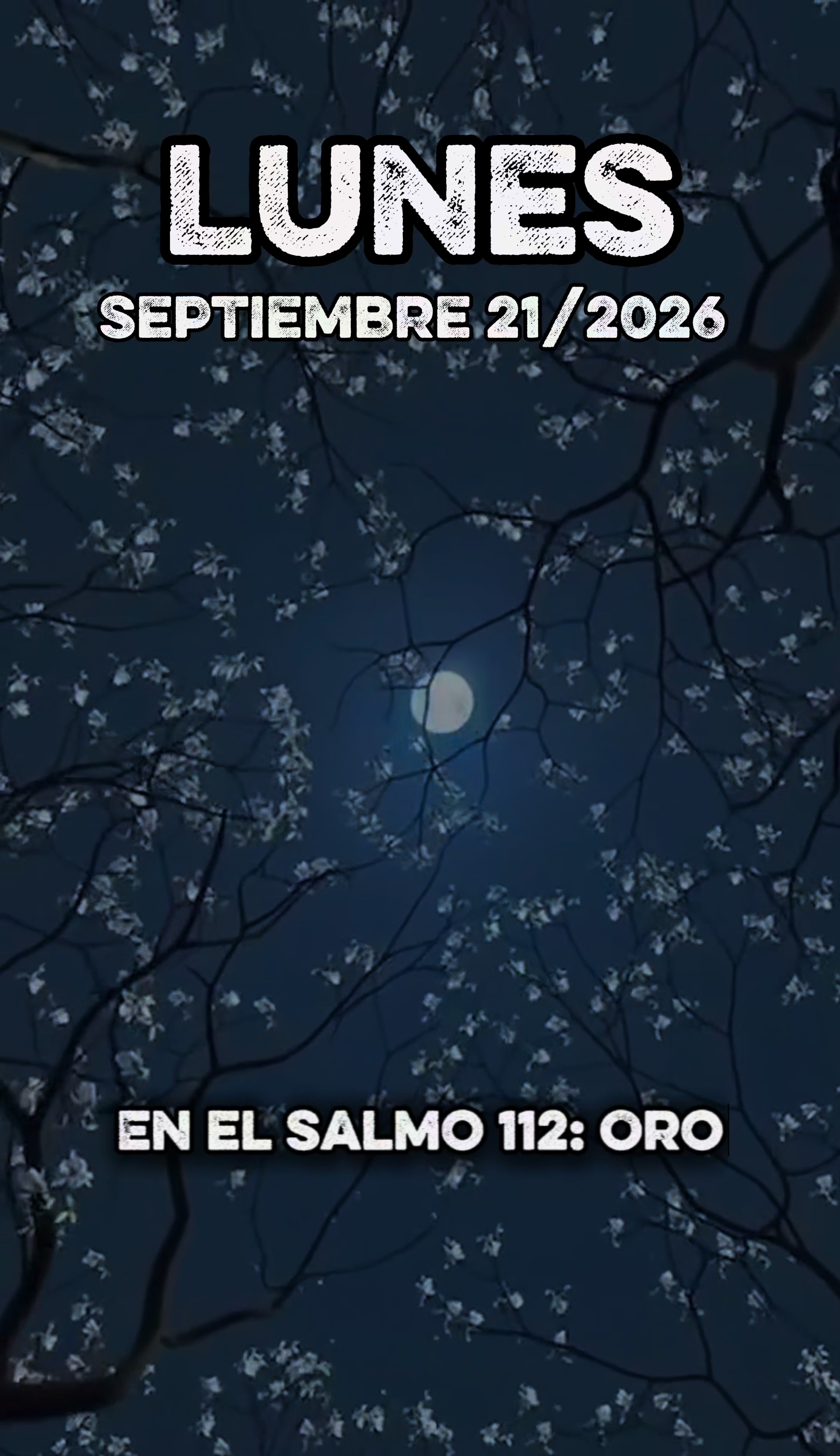 @Música del Cielo
