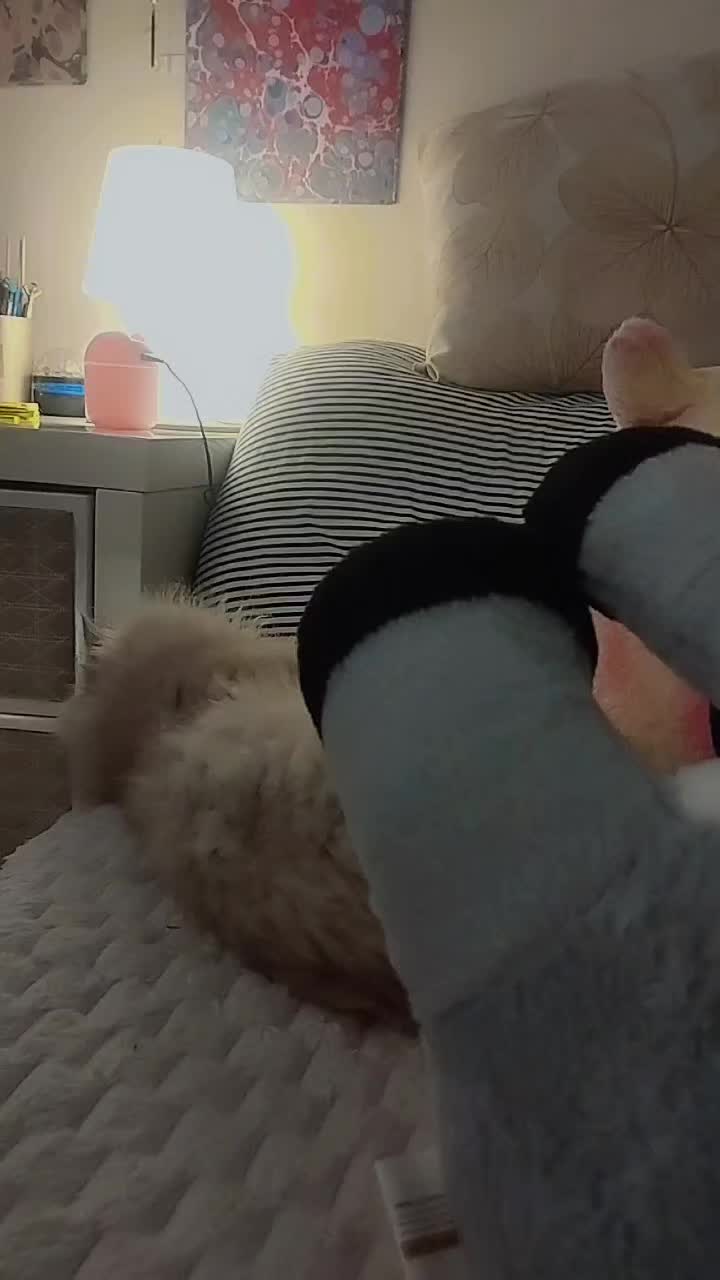 @๐ฆlove๐ฆ