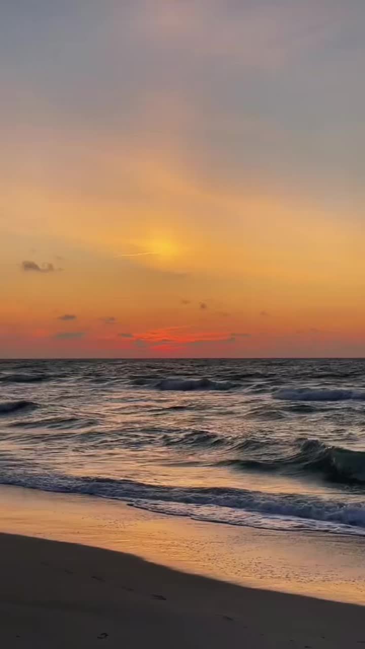 @Rusubianca00⚡️