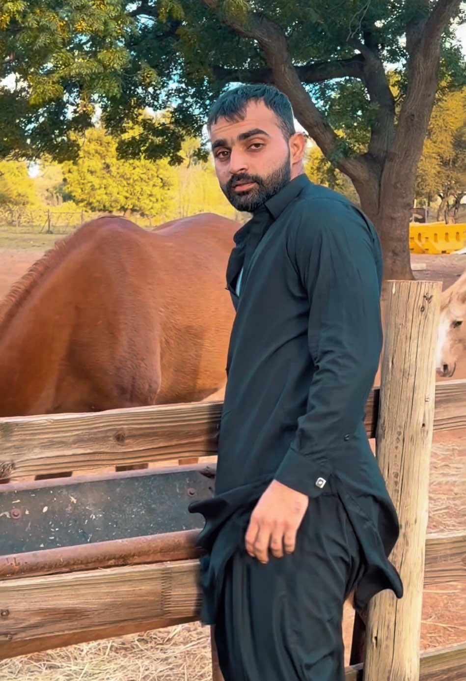 @Ch_Zaighum_Gull
