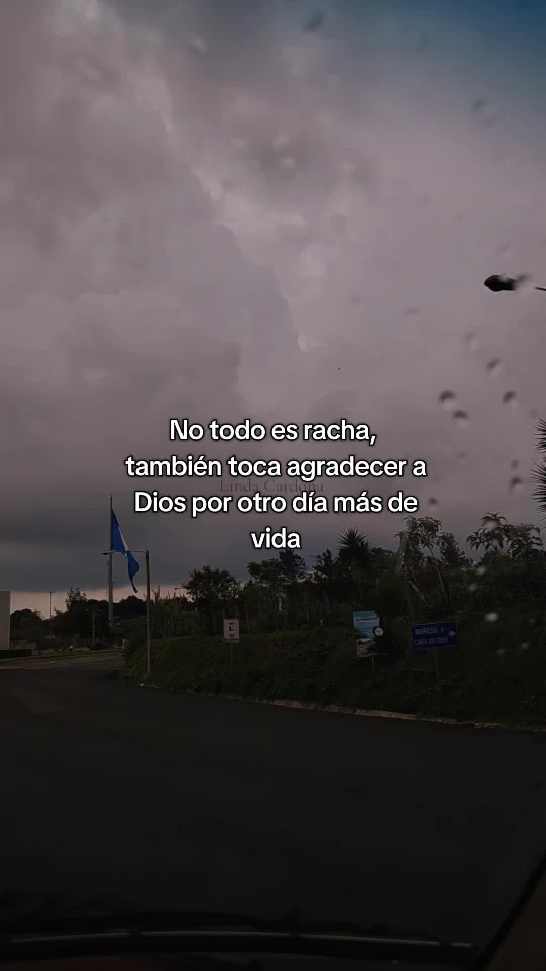 @Linda Cardona 🪼🪐