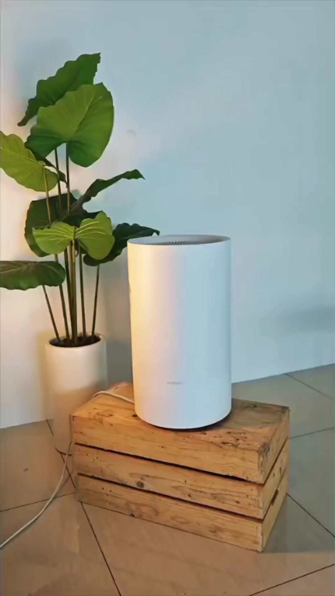 @Mi Tienda Online Bolivia 🇧🇴
