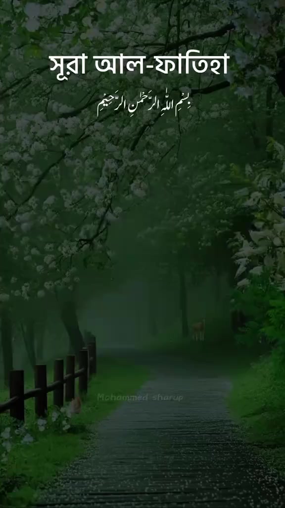 @Imran⚜️ Mahmudul 🥀