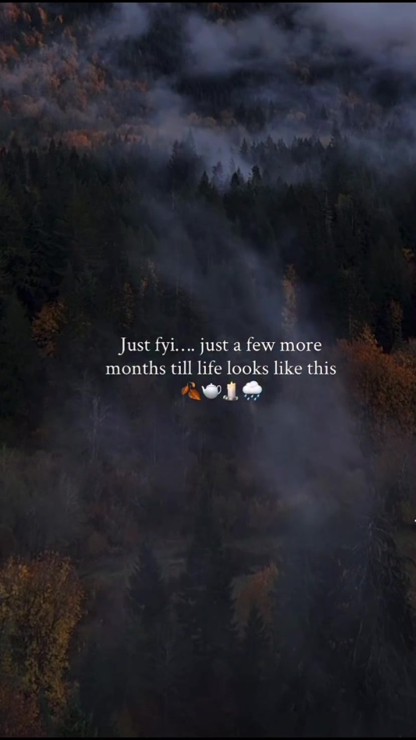 @Kate🦋