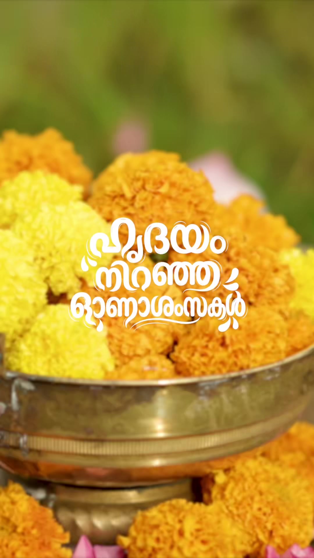 @Kalamandalam Swetha S S