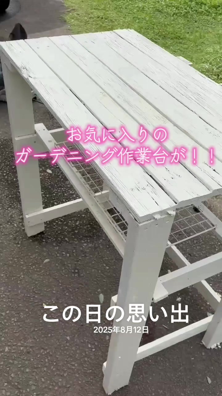 @ANIMAL♡M