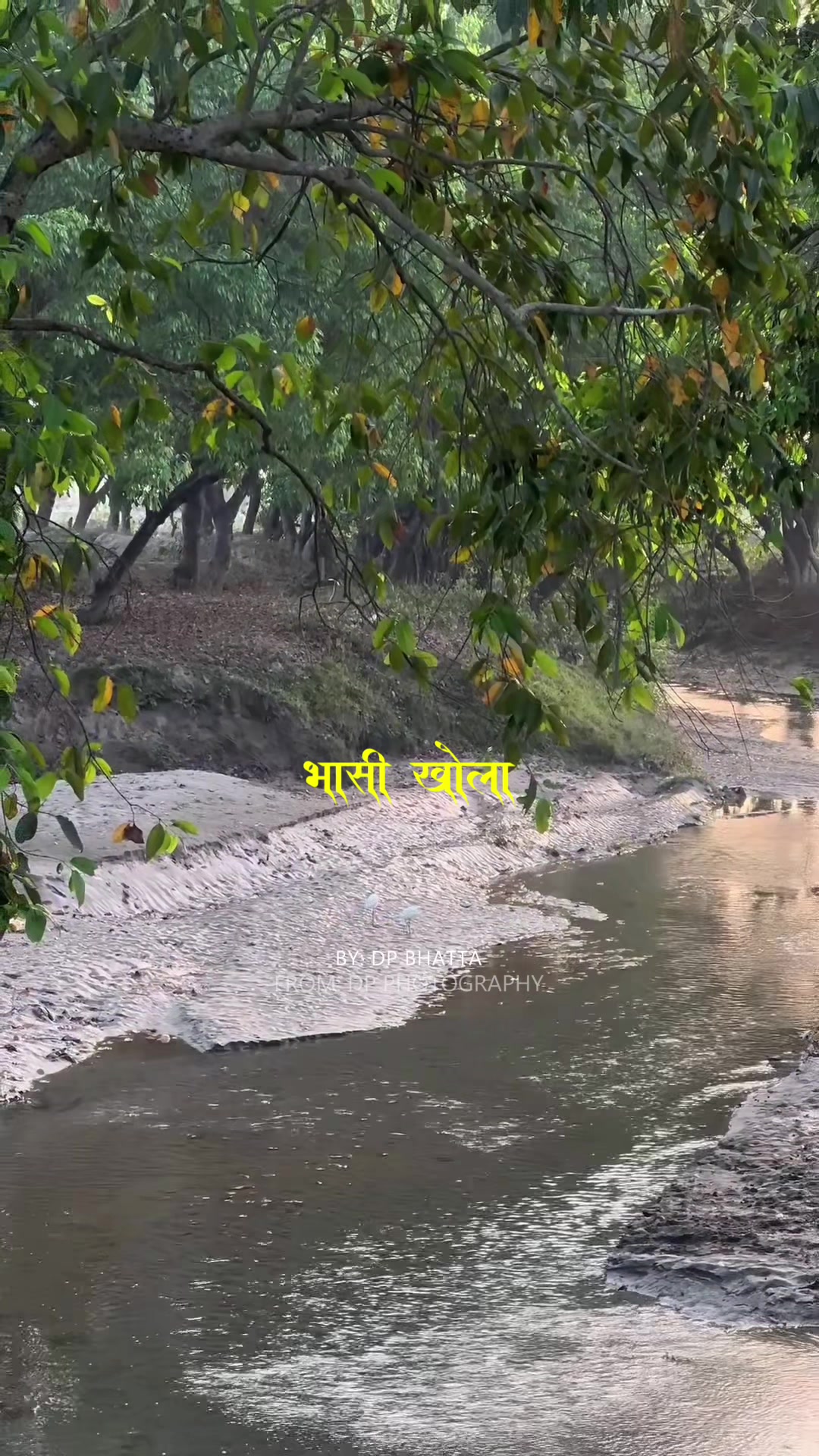 @DP BHATTA ( दारी दाइ )