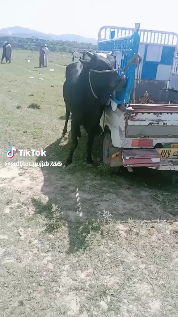 @ملک طیب عوان۔