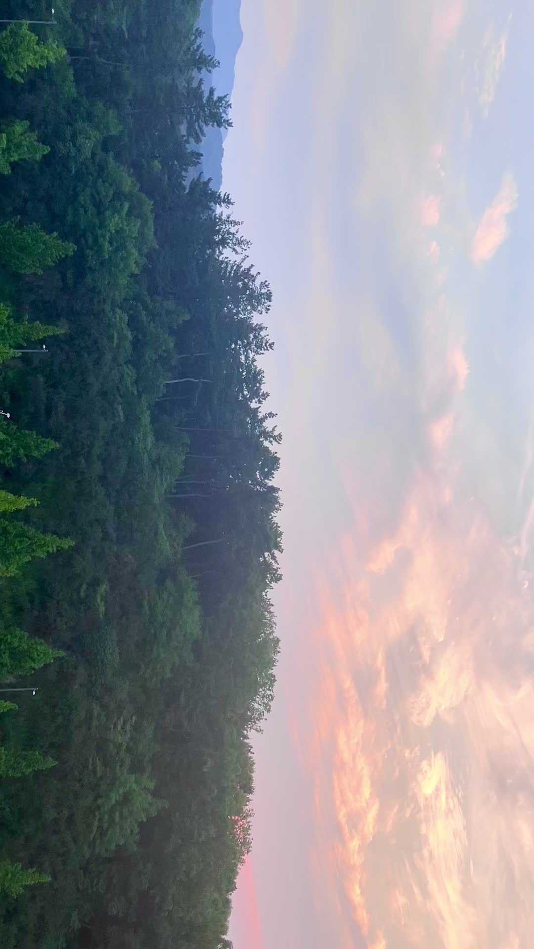 @Green._.tree01