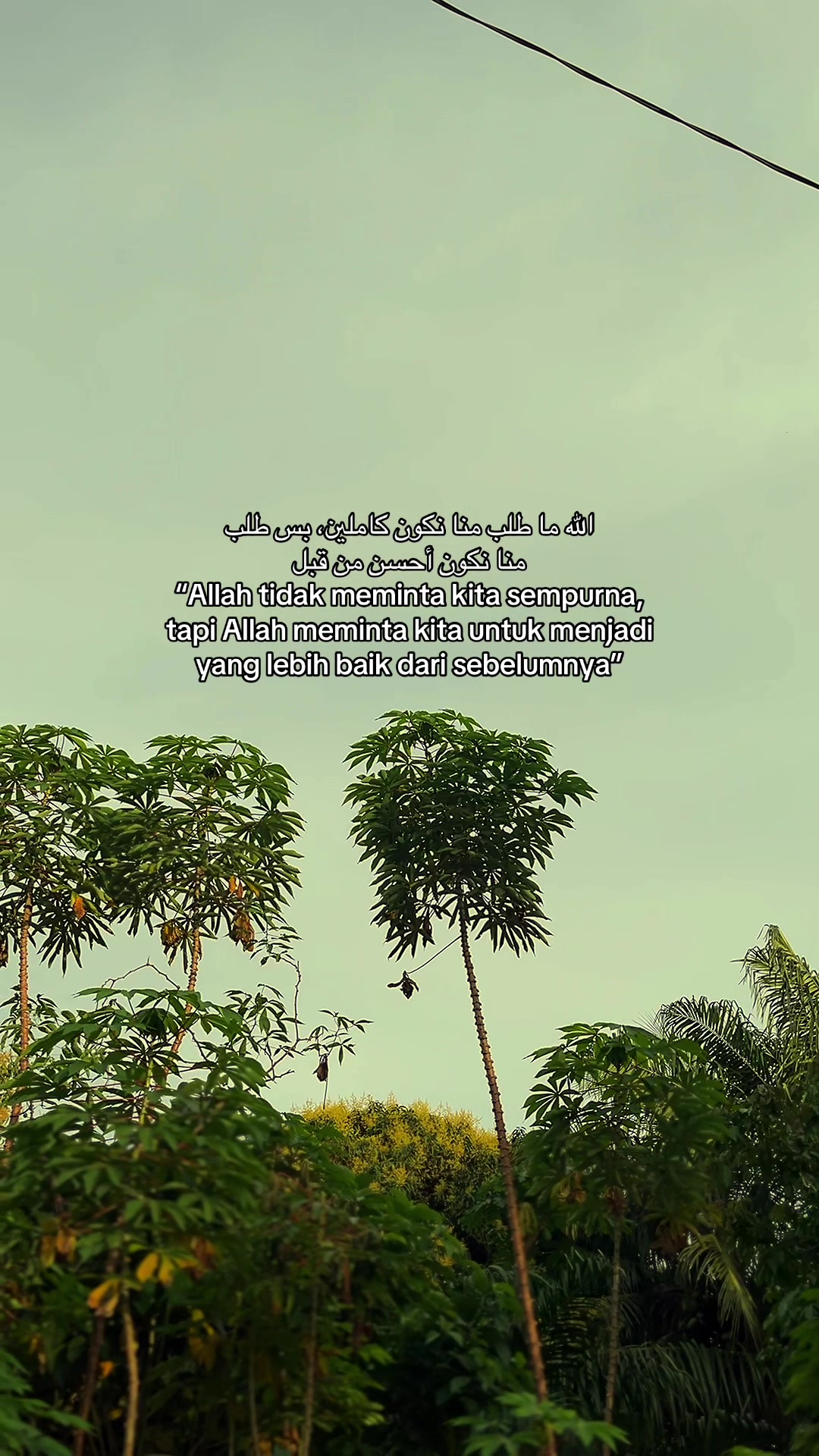 @من هي ؟