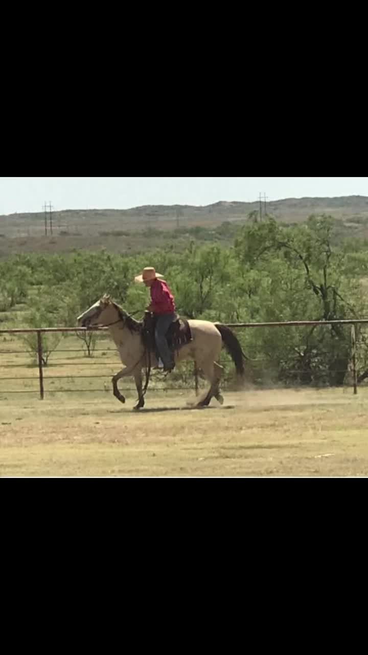 @🐂Haze Reed-Mini Bull Rider🐂