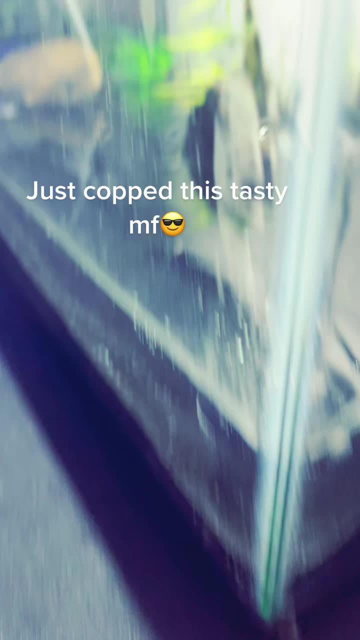 @suki_miata