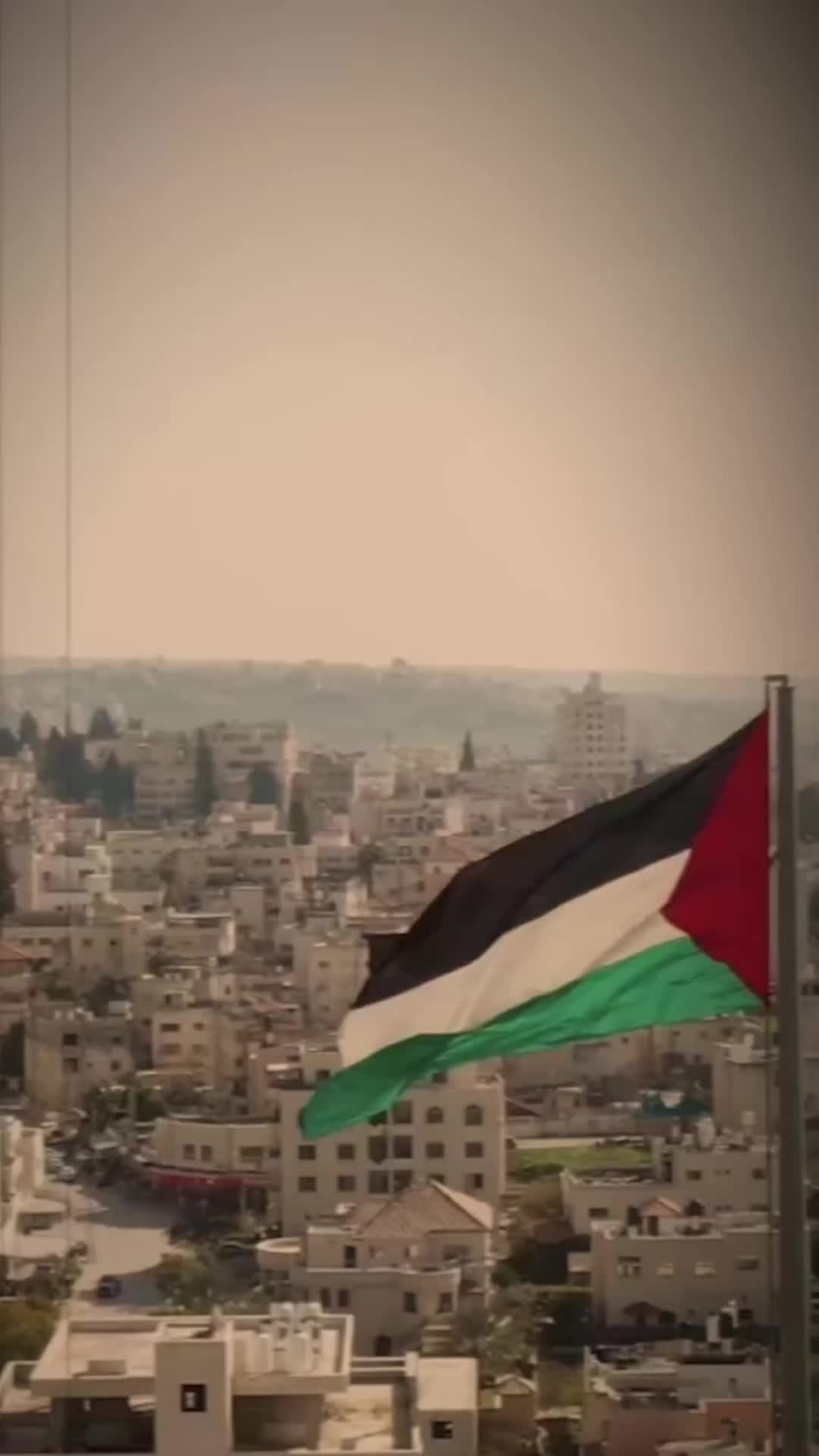 @كنعان 🇵🇸.