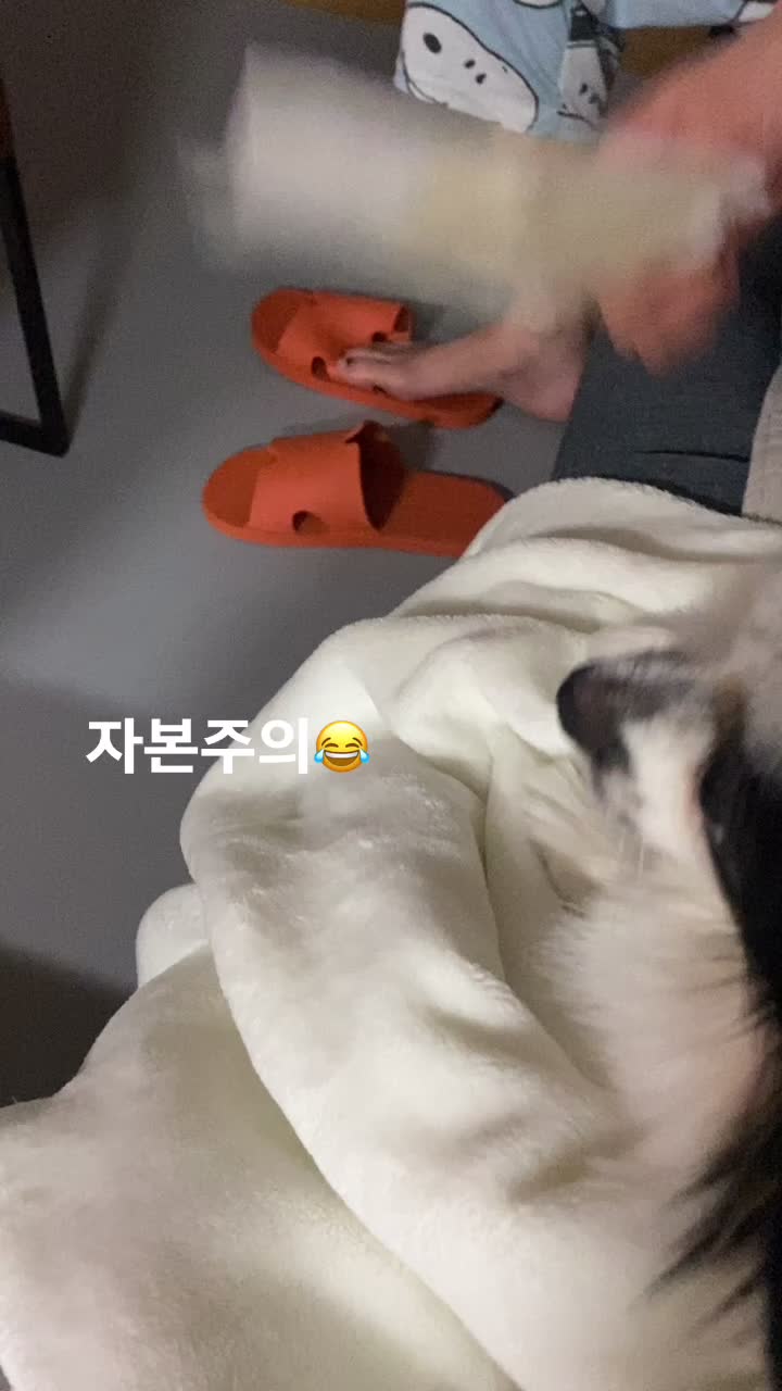 @jju