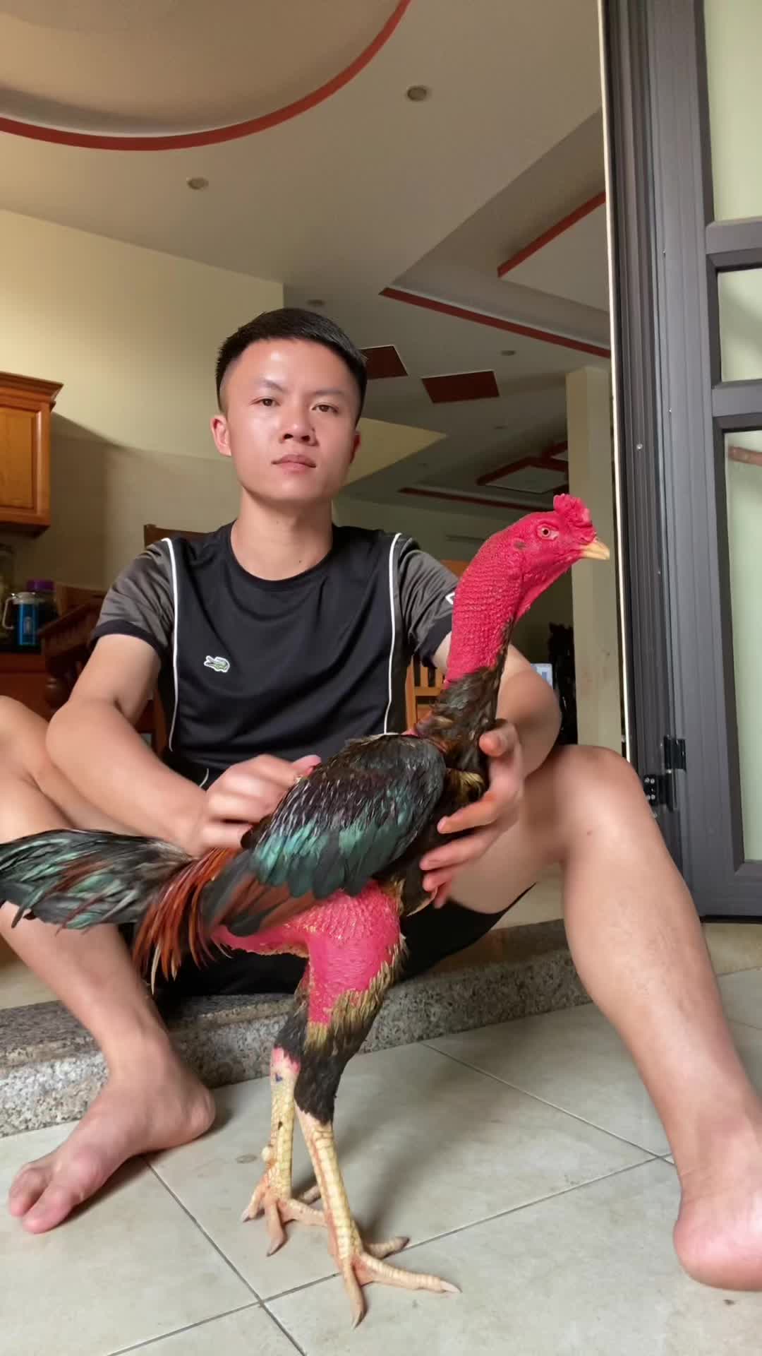 @Quang Hải 90