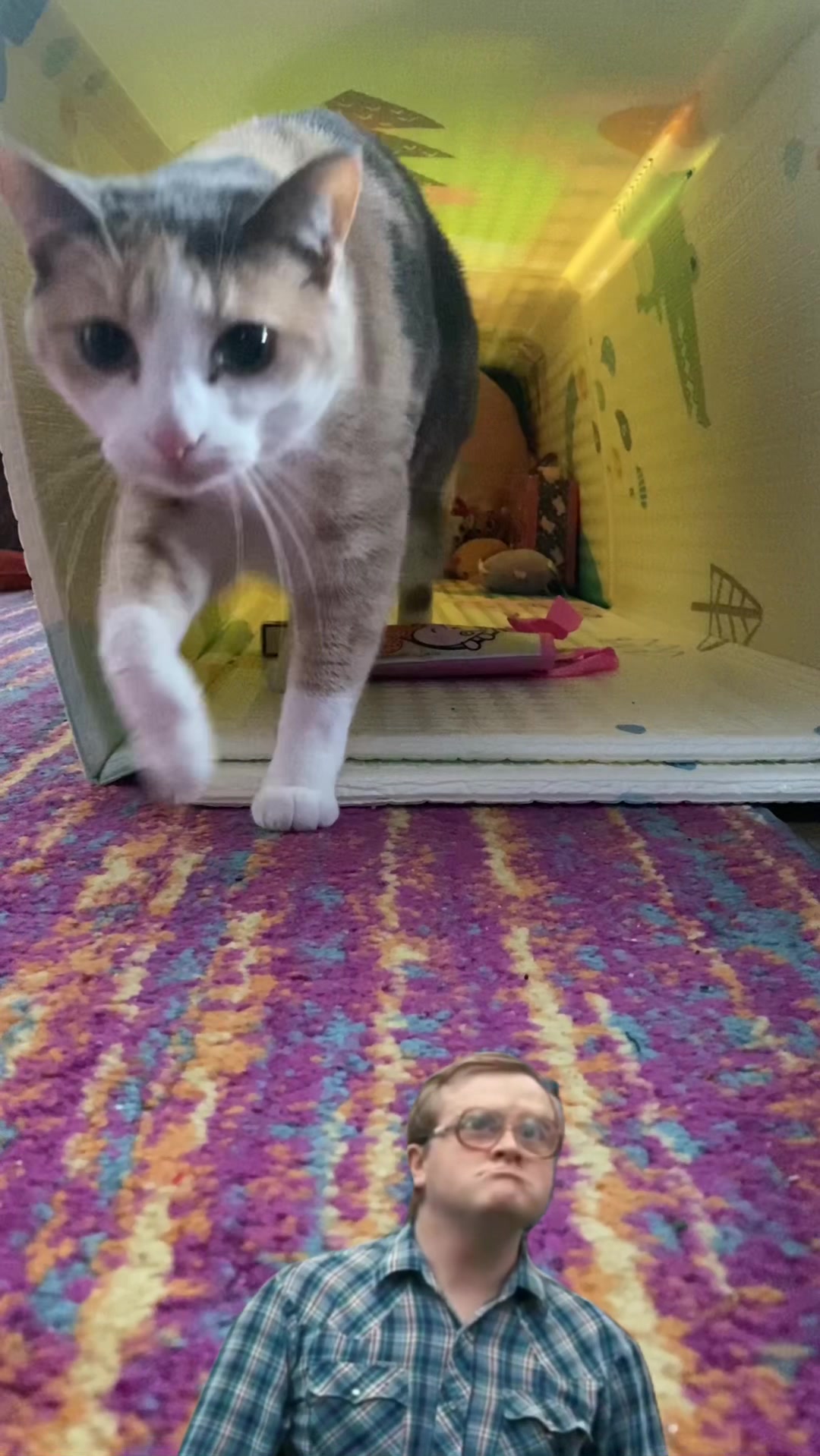 @lilsumthinn