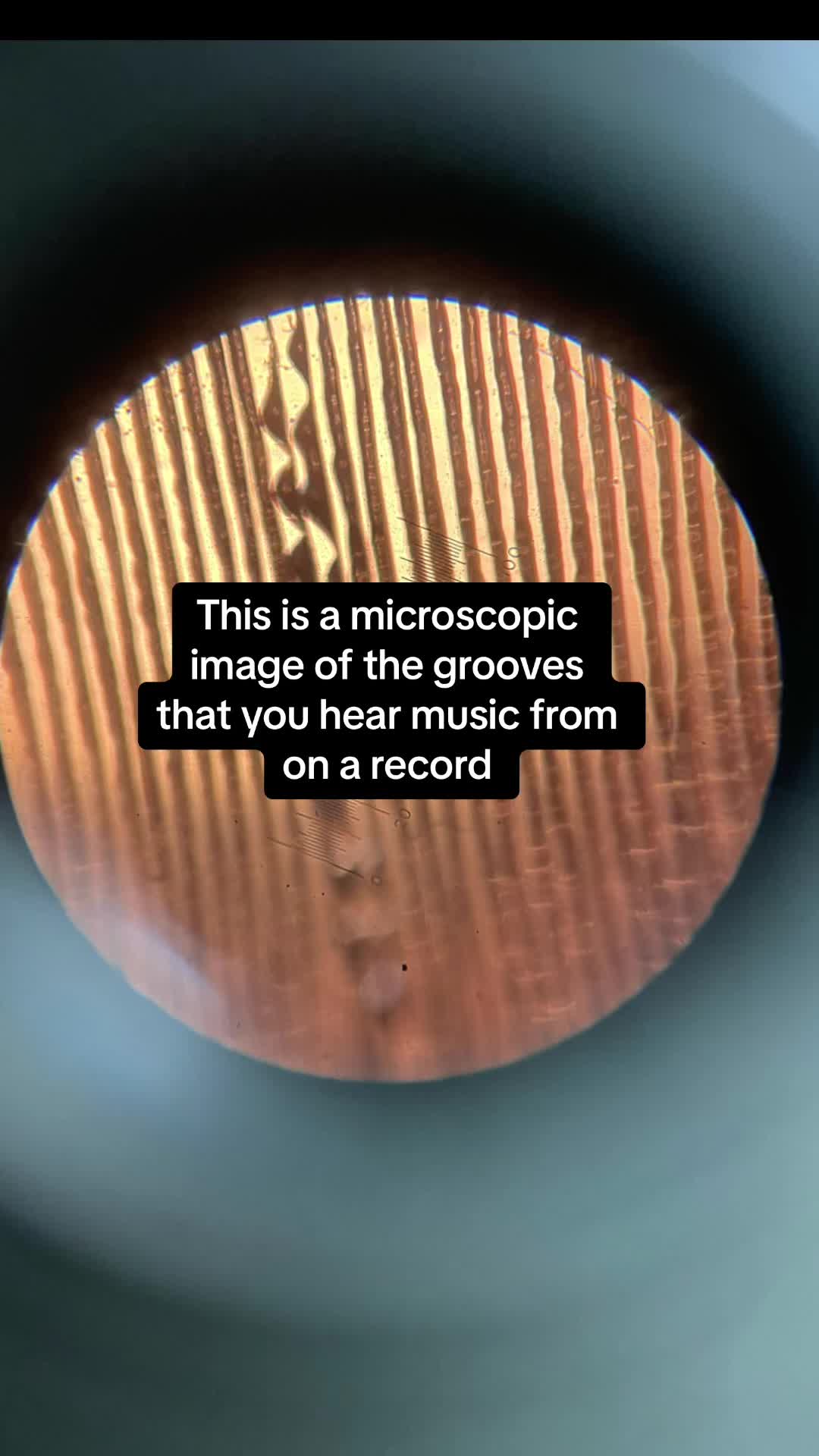 @Mukiss