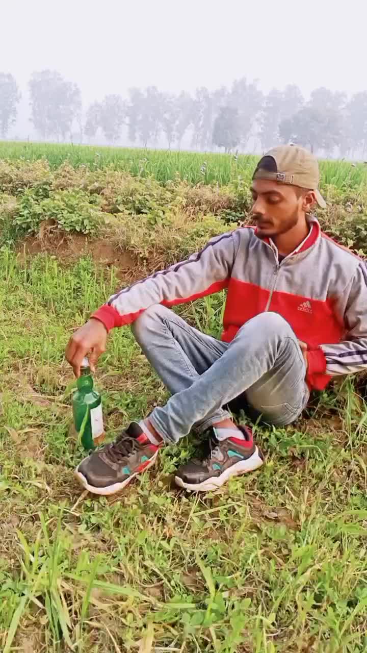 @user7717385664323