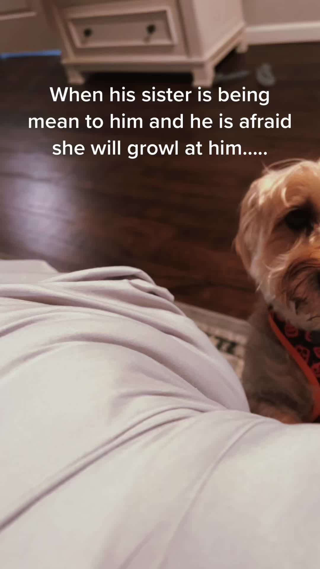 @fatjackandzoe