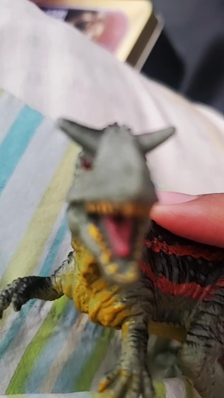@Toy Tiktok