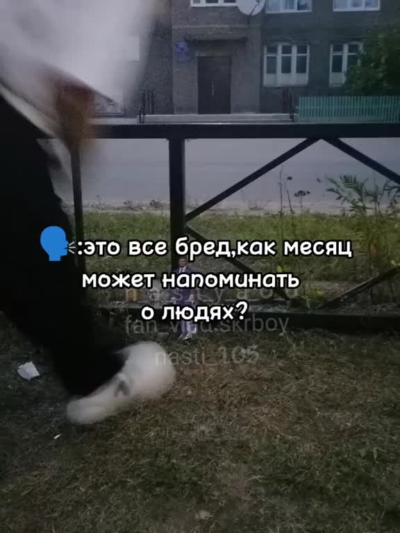 @fan_vlad.skrboy_