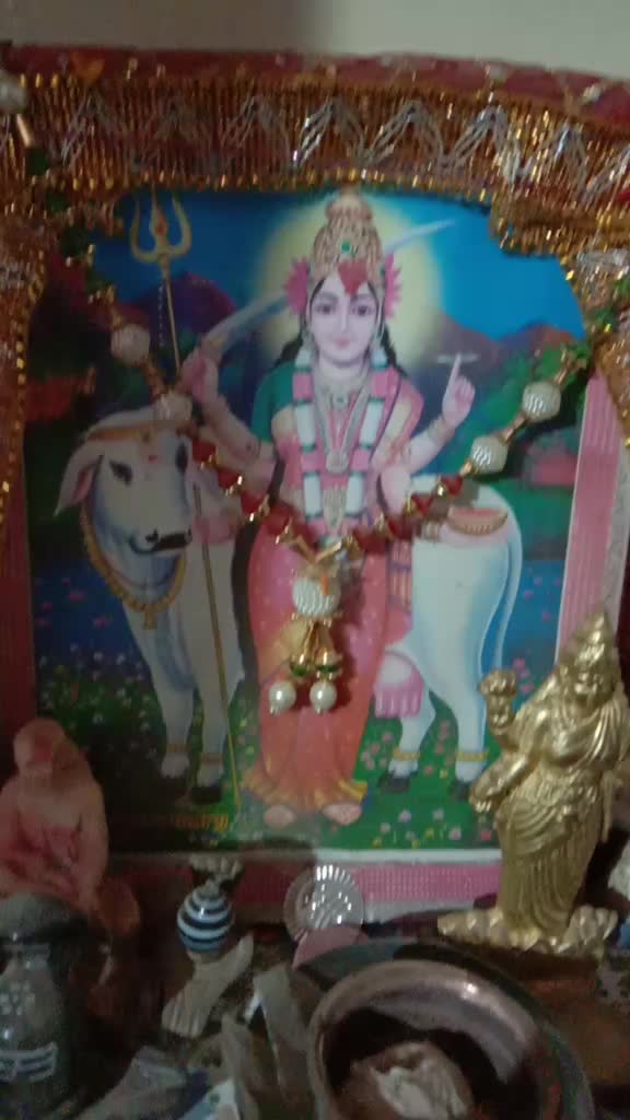 @prince_nimavat_17