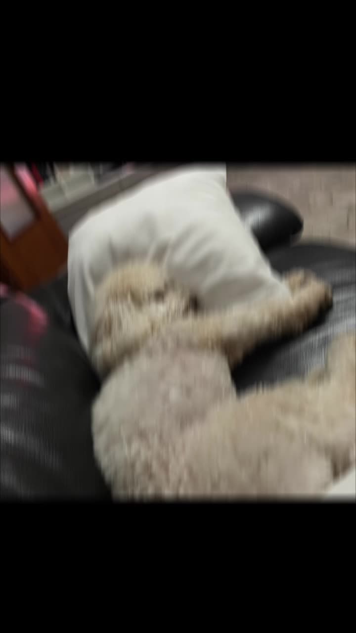 @Roxy _YT243