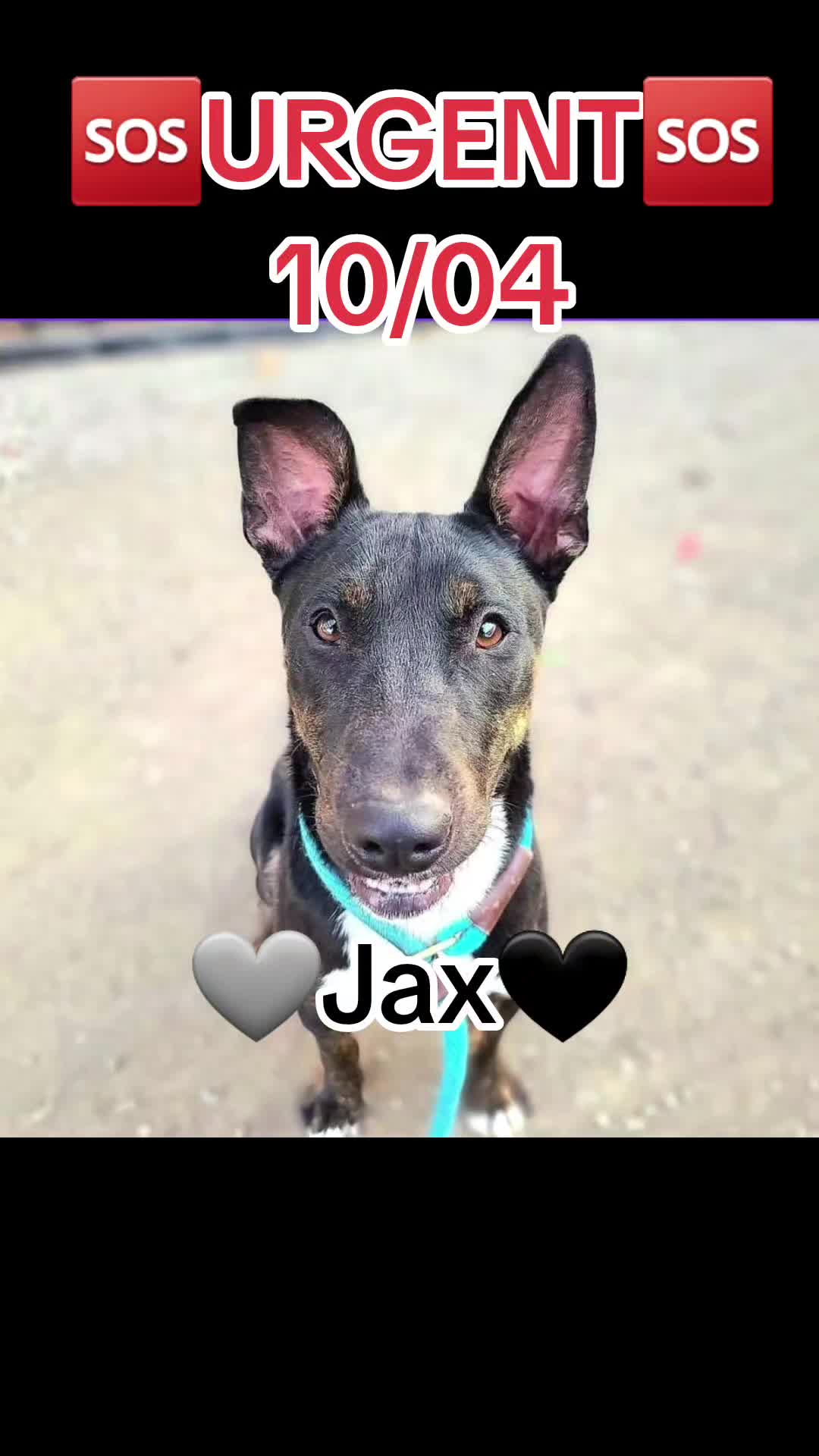 @jaykayf