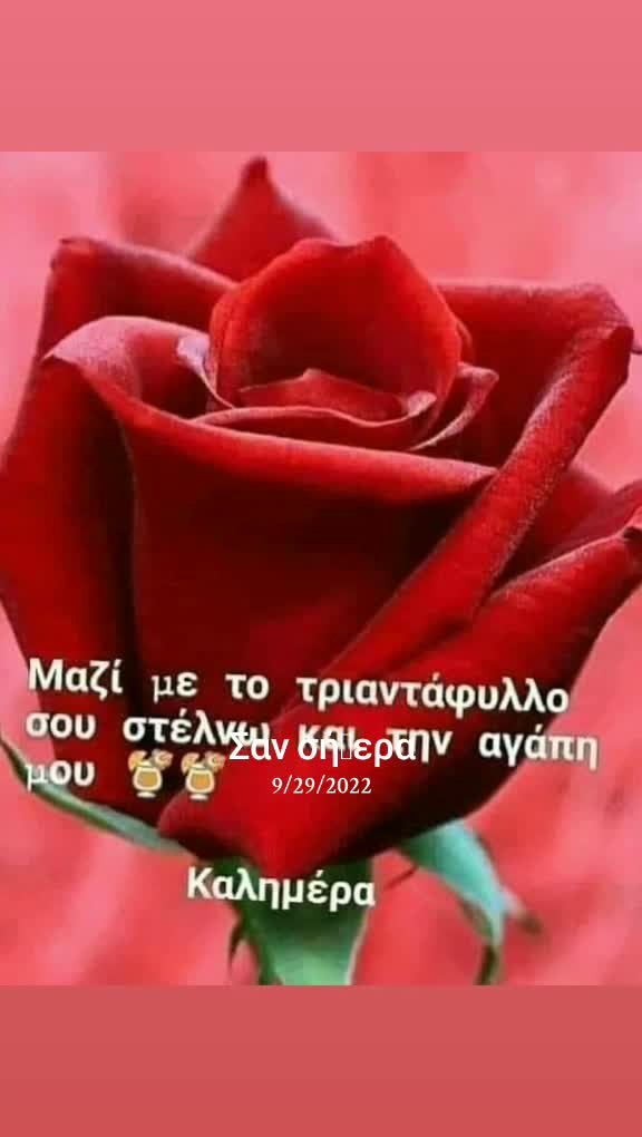 @MONI 65