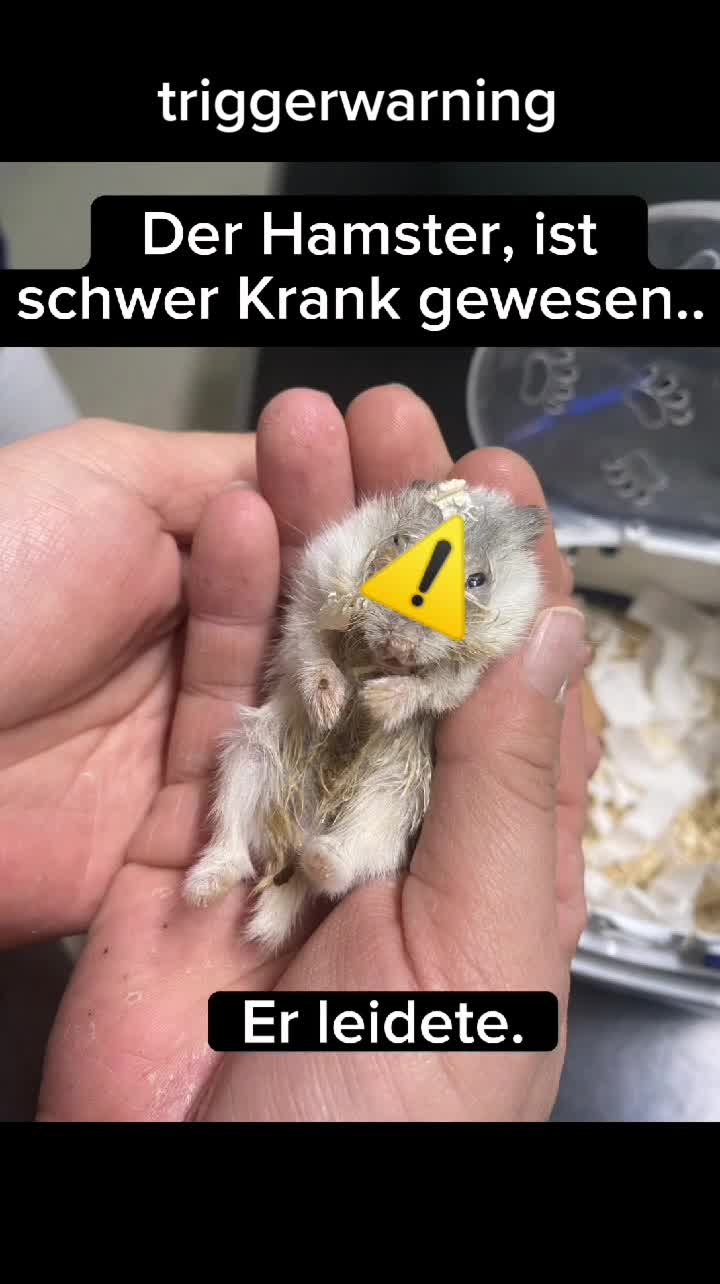@wondapaw