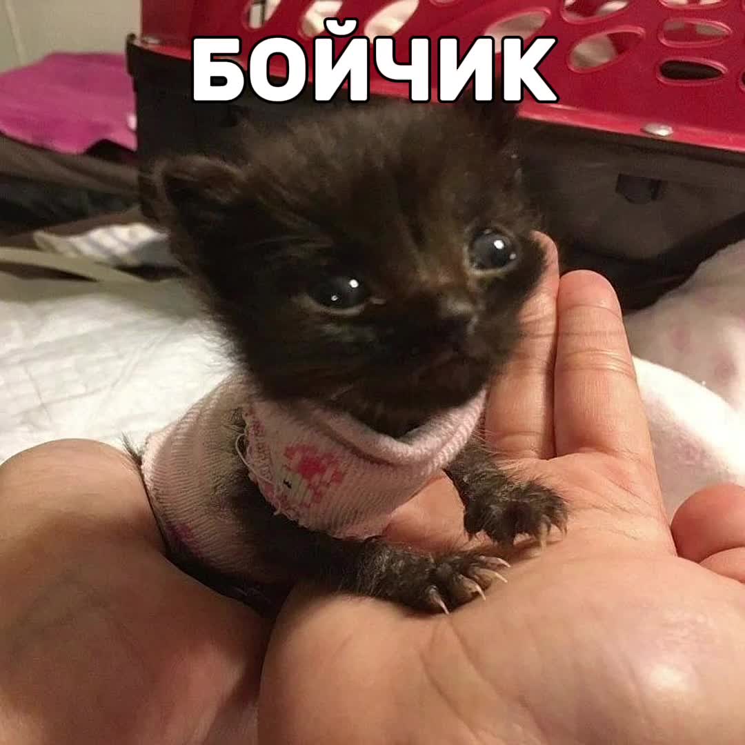 @ᶻ 𝘇 𝓵𝓲𝓼𝔀𝓮𝓷 🩹