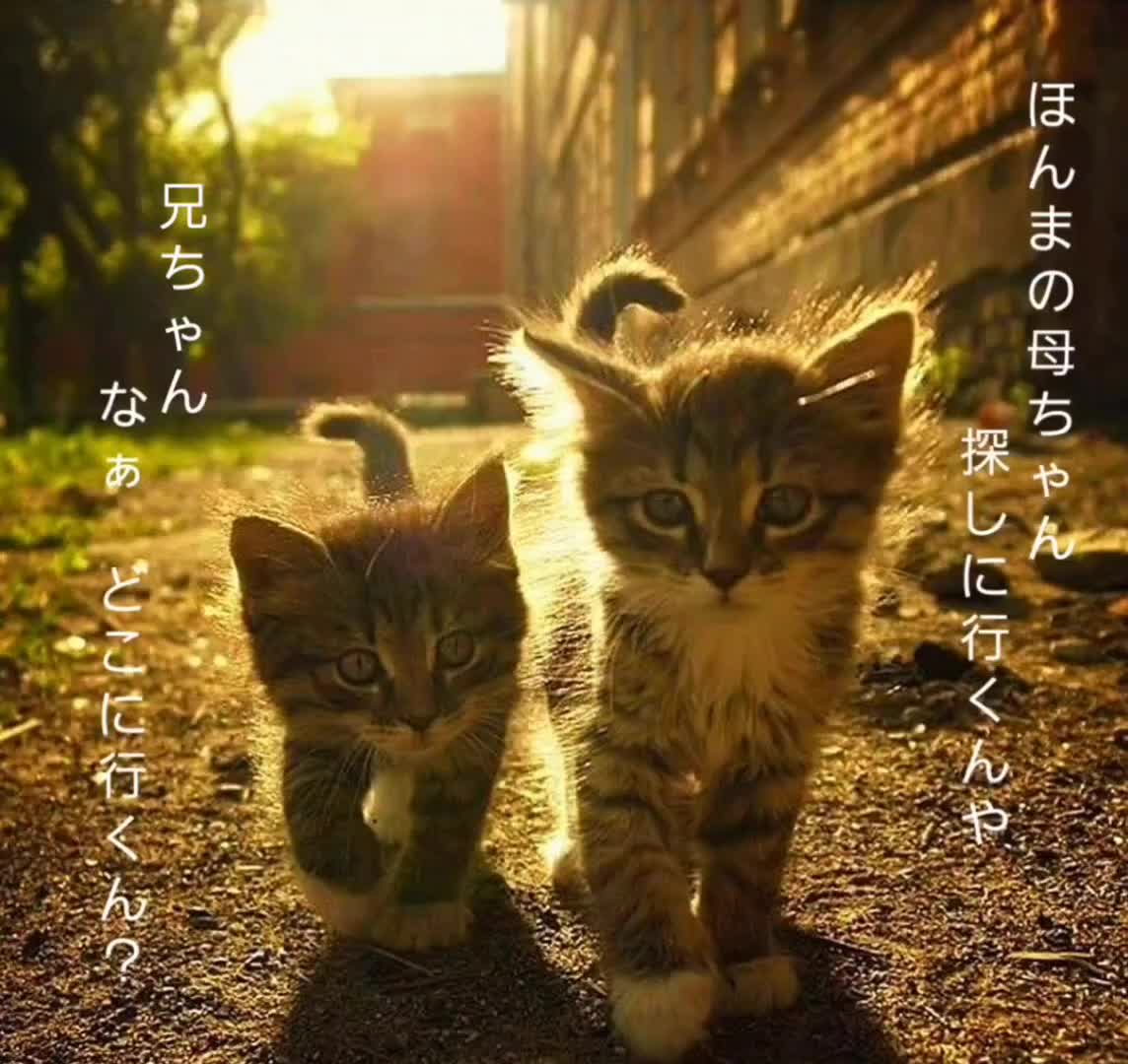 @お徳ちゃん。⭐️