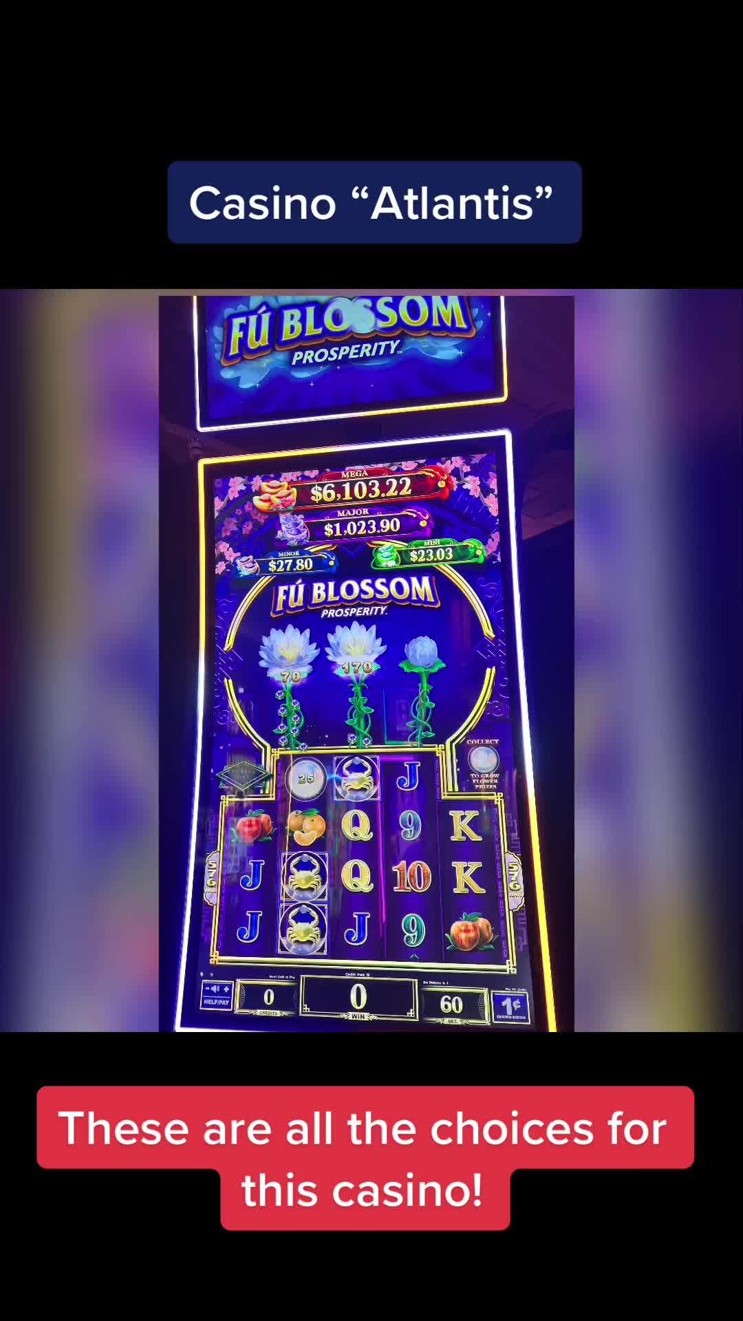 @Pearl&rsquo;s Crocs n&rsquo; Slots