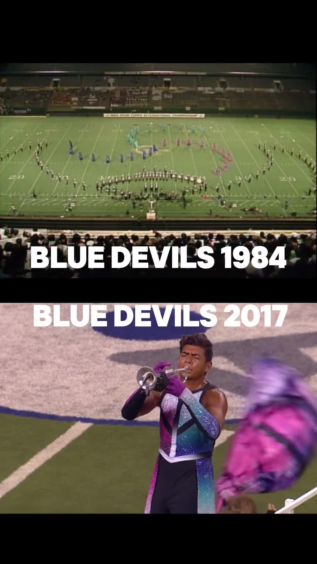 @The Marching Tapir