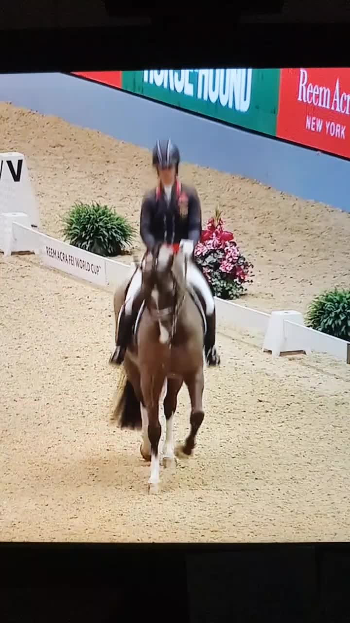 @Artline Dressage
